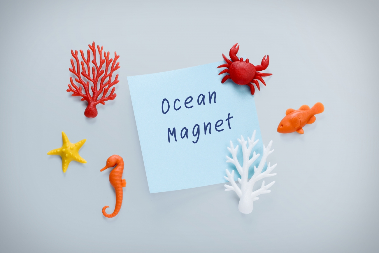 OCEAN ECOLOGY MAGNETS