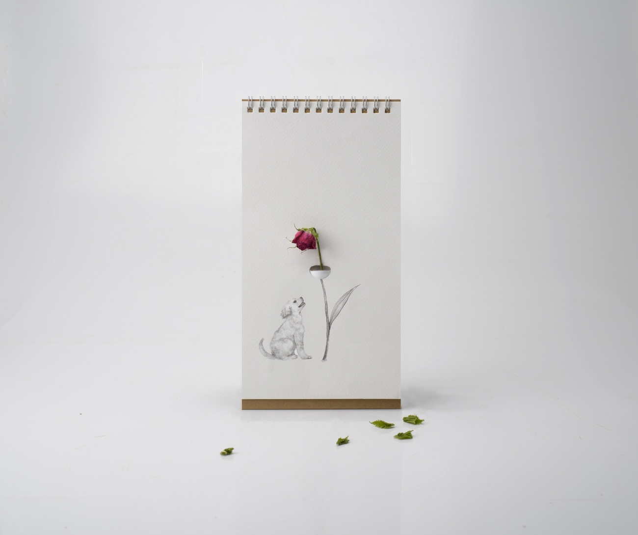 FLIP VASE COMPANION