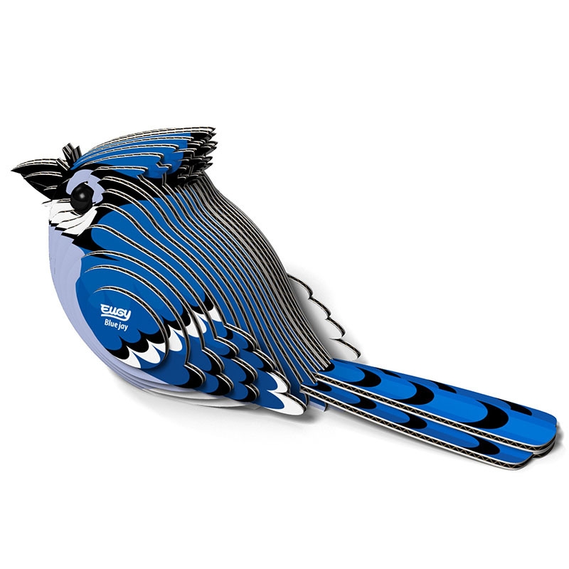 EUGY BLUE JAY