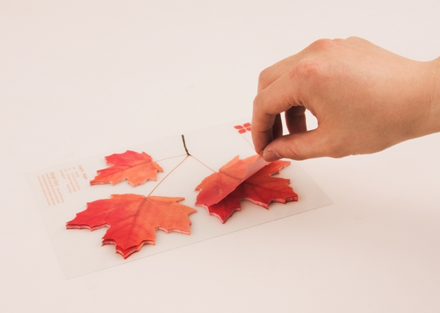 STICKY LEAF_MAPLE_Large (Sticky Notes)