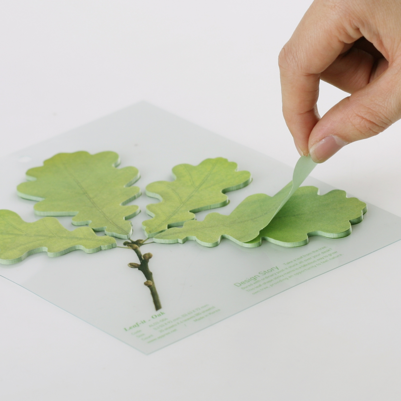 STICKY LEAF_OAK_ Medium (Sticky Notes)