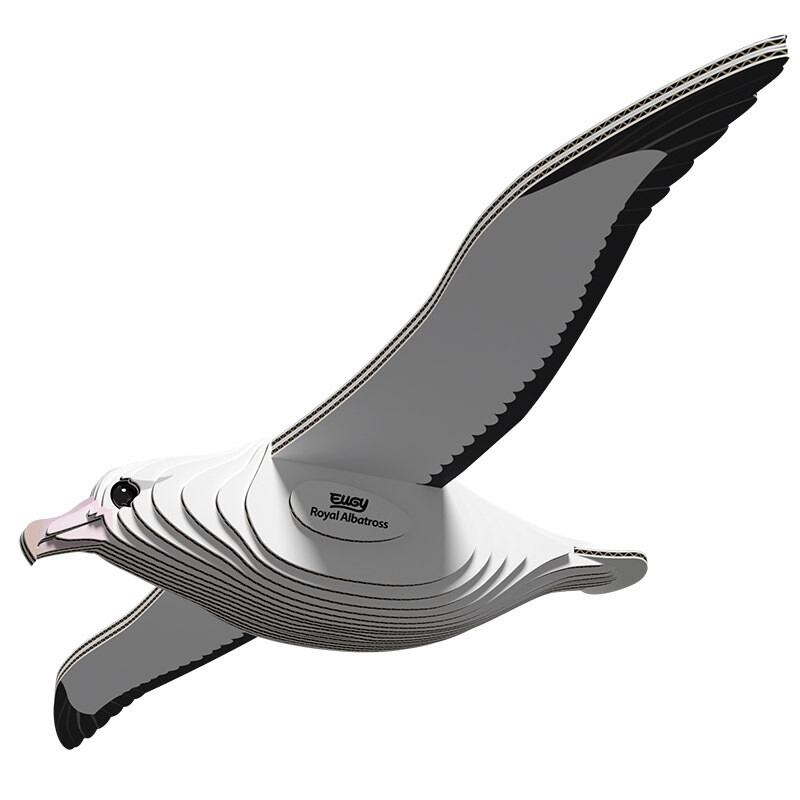 EUGY ROYAL ALBATROSS