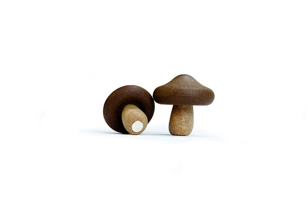 QL10229-BN Shiitake diecut4